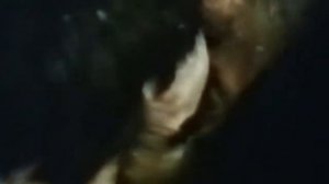 Люблю тебя сейчас - исп.В.Бельман,сл.В.Высоцкого,муз. В.Бобкова,Н.Джигурды