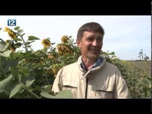 Местные жители (03.09.2019)