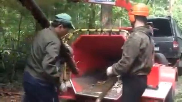 Дробление веток  - LiWood.ru