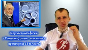 Аутофагия. НОБЕЛЕВСКАЯ ПРЕМИЯ за СЕКРЕТ ДОЛГОЛЕТИЯ!