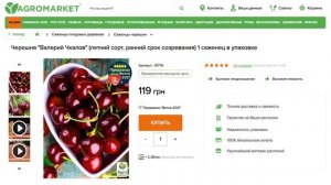 УРОЖАЙНЫЕ СОРТА ЧЕРЕШНИ от саженца до большого дерева [Агромаркет]