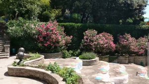 Крым. Санаторий Мисхор. Детская площадка