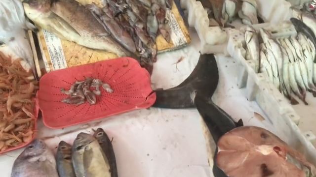 Essaouira, Morocco, Beach, Medina, and City Exploration Walking Through Essaouira After Quarantine смотреть онлайн