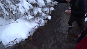 ЛОВИМ ФОРЕЛЬ РУКАМИ С Vitalik Ignatyuk! 24 ЧАСА В КАМЕННОМ ДОМИКЕ В КАРПАТАХ!