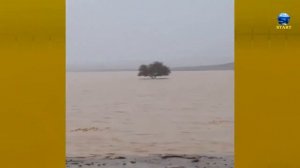 В Саудовской Аравии появляются гигантские озера и водопады.