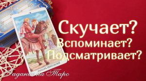 Скучает? Вспоминает? Подсматривает?