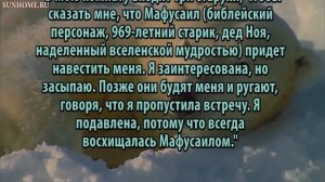 К чему снятся Седые волосы сонник, толкование сна