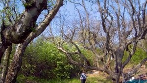 Арт-деревня Витланд. Отдыхаем с фотоклубом.