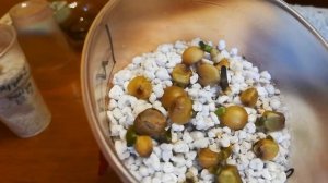 Посев семян кливия. Clivia seeds