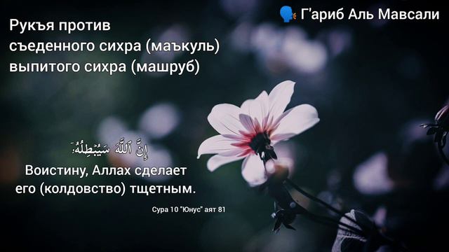 Рукъя против съеденного и выпитого сихра Маъкуль и Машруб Г'ариб Аль Мавсали