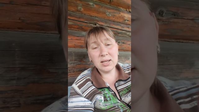 Собираем Жимолость смотреть онлайн