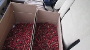 Выпилил окно в доме и съездил в Качугский район