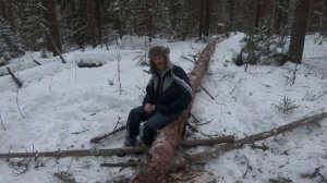 Ночевка зимой в лесу без палатки