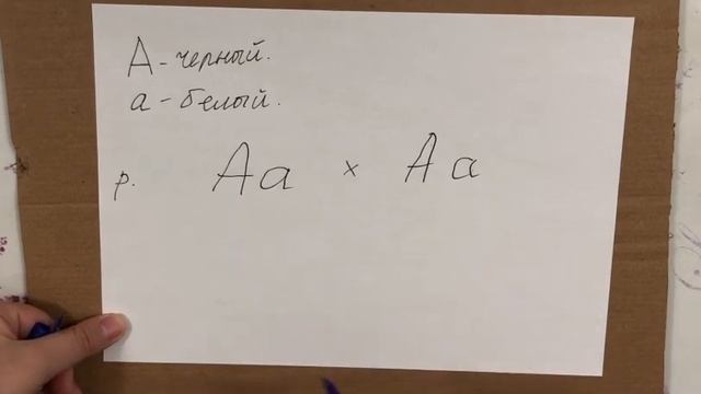 ЕНТ по БИОЛОГИИ. Учимся решать задачи по генетике смотреть онлайн