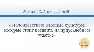 Малоизвестные  ягодные культуры, которые стоит посадить на приусадебном участке