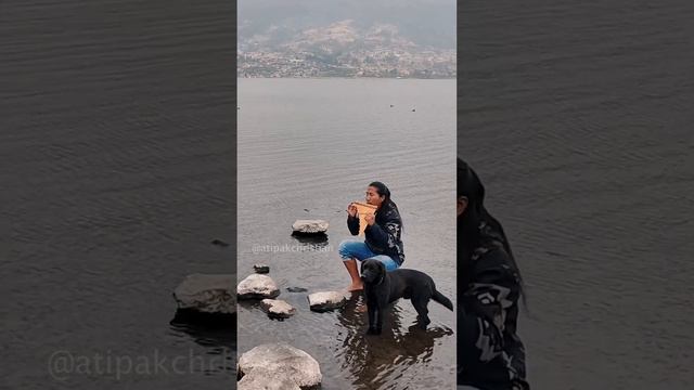 Wonderful Life ❤️ (Pan Flute) смотреть онлайн