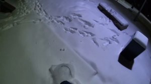 snowride in Kyiv