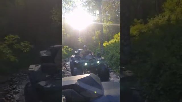 #алтай #сокол #квадроцикл #2023 смотреть онлайн