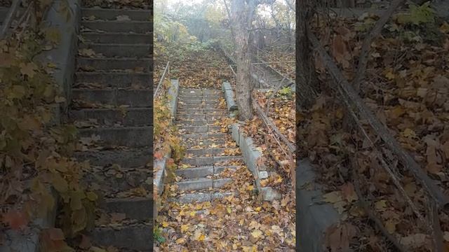 Как наполняться энергией? Источники получения энергии. смотреть онлайн