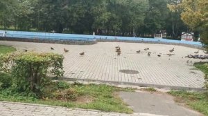 ПАРК ПОБЕДЫ. ТВЕРЬ. VICTORY PARK. TVER.