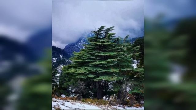 ЕСЛИ ТЫ СЛОВА БОЖИИ НЕ ПОНИМАЕШЬ, ТАК БЕСЫ ПОНИМАЮТ, ЧТО ТЫ ЧИТАЕШЬ И ТРЕПЕЩУТ.. смотреть онлайн