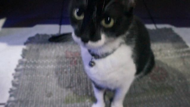 Sony Nex-5 Stock Footage Low Light - 2021 (No edition) AVCHD 1080 смотреть онлайн