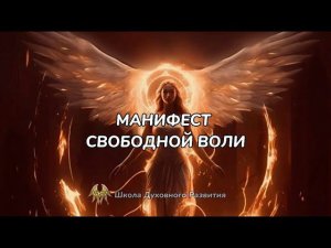 МАНИФЕСТ СВОБОДНОЙ ВОЛИ