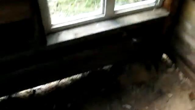 #196 (2018-05-22) строим сарай (часть 6). Свинарник готов! смотреть онлайн