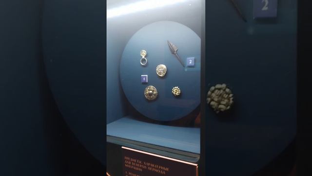 Атрибуты степных воинов с разных территорий (выставка "Воины Великой степи" в Музее Куликовской битв