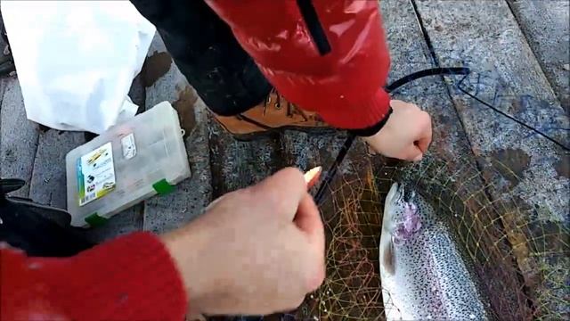 ВОТ ЭТО КЛЁВ!!! Кто - бы, что- бы не сказал, здесь всё видно! Спорт зона, ловля форели. Клёвое мест смотреть онлайн