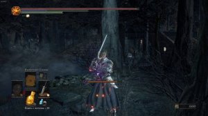 Dark Souls III Перебиваем урон от головы Мимика, токсина и лавы | Regen build Dark souls 3