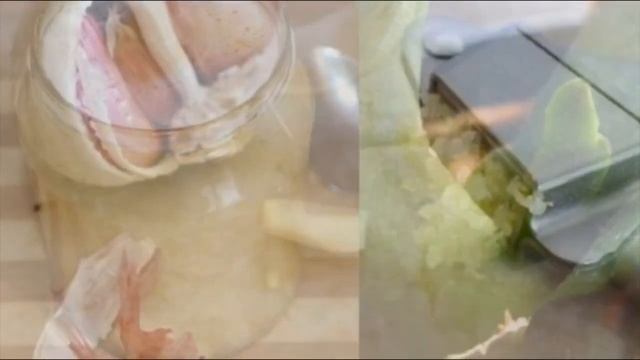 Натуральное удобрение для орхидей.Шикарное цветение круглый год!Все в восторге!