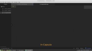 7. ООП  Инкапсуляция, приватные атрибуты и публичный интерфейс
