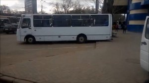 Красная плесень- Отель Калифорния (кавер)