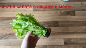 РУЛЕТИКИ из ЛАВАША с КУРИЦЕЙ и САЛАТОМ! Холодная закуска!