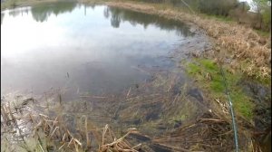 Карась на мормышку, осваиваем микроджиг.