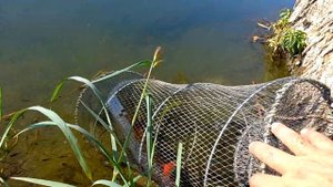 Рыбалка в Таджикистане, 20 км от г. Худжанд, 31 июля 2022г.