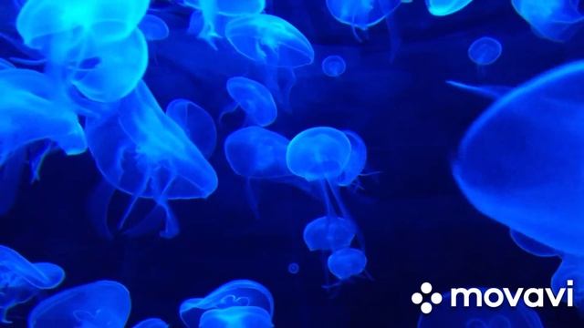 Расшифровка матрицы. Квадрат 1-Характер смотреть онлайн