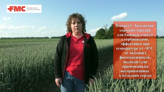 Комплексная система защиты озимой пшеницы компании FMC
