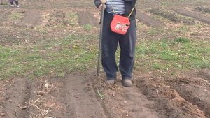 (24)Демонстрация работы ручной сажалки для лука , чеснока , фасоли . . .