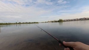 Лещ сделал рыбалку | микроджиг