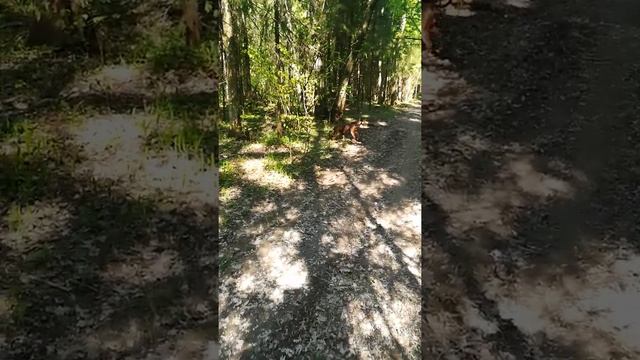 26 мая 2022 г. смотреть онлайн