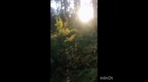 InShot_20230903_220623606.mp4