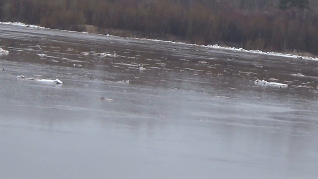 Ледоход на реке Вятка в Вятских Полянах. 15 апреля 2017 год. смотреть онлайн