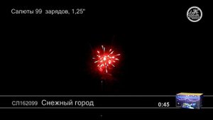 СЛ162099 Снежный город