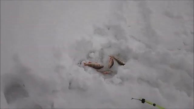 Рыбалка на Чусовой весна 2019г смотреть онлайн