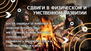 ОТ ПЕРВОБЫТНОСТИ К ЦИВИЛИЗАЦИИ В ОДНОМ ВИДЕО | ВСЕМИРНАЯ ИСТОРИЯ, 5 КЛАСС