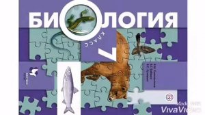 §3 Классификация животных и основные систематические группы