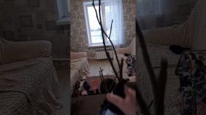 отзыв об интернет магазине Agro- Market24.