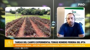 Tareas del campo experimental Tomás Romero Pereira del IPTA